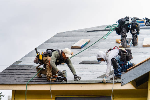 Professional Roofing technician working in La Salle, CO